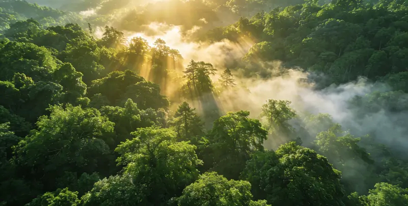 内江肺癌11基因检测组织版图片1