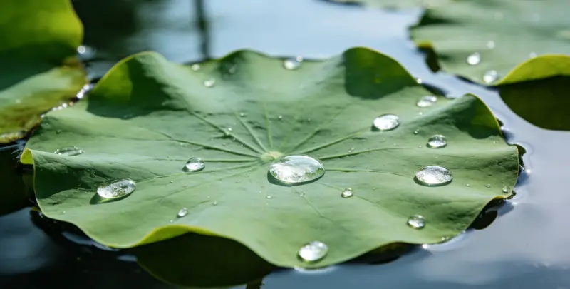 内江乳腺癌21基因mRNA表达分析图片1