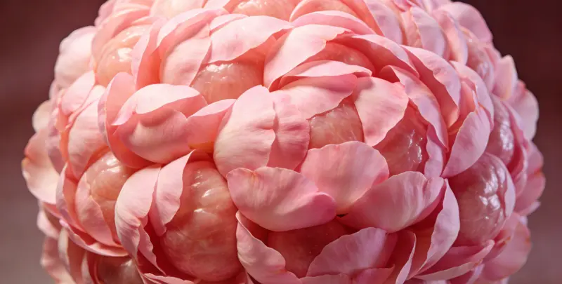 内江BRCA1/2乳腺癌卵巢癌基因检测图片1