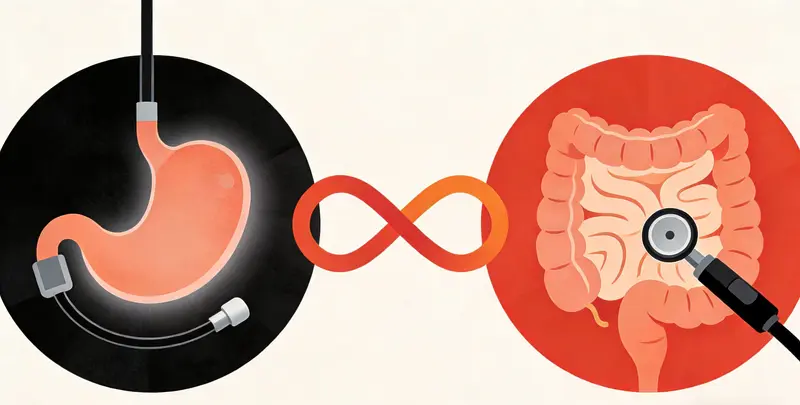 胃癌分子分型基因检测项目（组织）图4